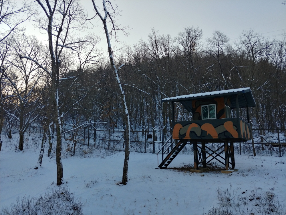 2월3일 입춘 그리고 눈